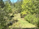 187 Ibis Ln. - Photo 37