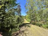 187 Ibis Ln. - Photo 38
