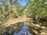 187 Ibis Ln. - Photo 40