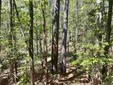 187 Ibis Ln. - Photo 41