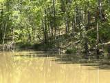 187 Ibis Ln. - Photo 43