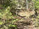 187 Ibis Ln. - Photo 44