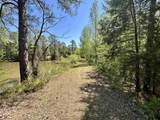187 Ibis Ln. - Photo 49