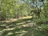 187 Ibis Ln. - Photo 52