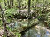 187 Ibis Ln. - Photo 53