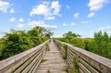 845 Commanders Island Rd. - Photo 52