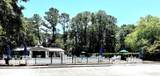 194 Tall Pines Way - Photo 47