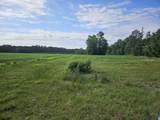 743 Acres - Highway 917 - Photo 2