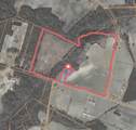 743 Acres - Highway 917 - Photo 3