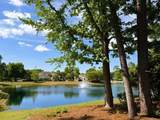 719 Camden Circle - Photo 8