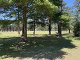 3015 Old Bryan Dr. - Photo 12