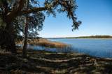 1939 Mauricena Rd. - Photo 3