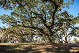 1939 Mauricena Rd. - Photo 5
