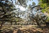 1939 Mauricena Rd. - Photo 8