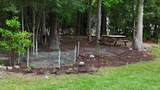 1194 Rainbow Dr. - Photo 7