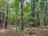 18 Acres - TBD Driffin Ln - Photo 15