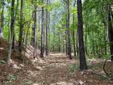 18 Acres - TBD Driffin Ln - Photo 16