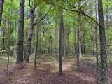 18 Acres - TBD Driffin Ln - Photo 18
