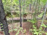 18 Acres - TBD Driffin Ln - Photo 21