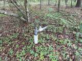 18 Acres - TBD Driffin Ln - Photo 23