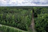 18 Acres - TBD Driffin Ln - Photo 7