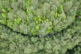 18 Acres - TBD Driffin Ln - Photo 9