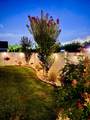 708 Hobonny Loop - Photo 33
