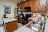 791 Painted Bunting Dr. - Photo 29