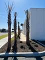 1500 Ocean Blvd. - Photo 3