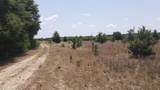 25.10 Acres - Society Hill Rd - Photo 16