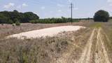 25.10 Acres - Society Hill Rd - Photo 17