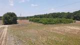 25.10 Acres - Society Hill Rd - Photo 20