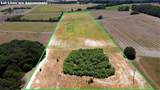 25.10 Acres - Society Hill Rd - Photo 27