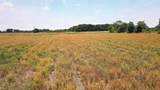 25.10 Acres - Society Hill Rd - Photo 28