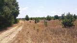 25.10 Acres - Society Hill Rd - Photo 30