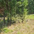 6142 Hwy 252 - Photo 4