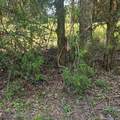 6142 Hwy 252 - Photo 7