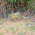6142 Hwy 252 - Photo 8