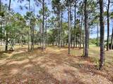 6804 Beckman Circle - Photo 4