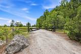 239 Acres Atlantic Breeze Dr. - Photo 30