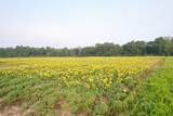 9.58 Acres - Deerfield Rd. - Photo 7