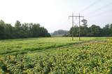 9.58 Acres - Deerfield Rd. - Photo 8