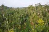 9.58 Acres - Deerfield Rd. - Photo 9