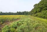 17.74 Acres - Deerfield Rd. - Photo 5