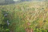 17.74 Acres - Deerfield Rd. - Photo 8