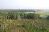 17.74 Acres - Deerfield Rd. - Photo 9