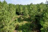 50.5 Acres Epps Rd. - Photo 10