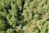50.5 Acres Epps Rd. - Photo 11