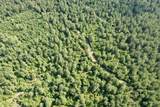 50.5 Acres Epps Rd. - Photo 12