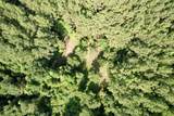 50.5 Acres Epps Rd. - Photo 18